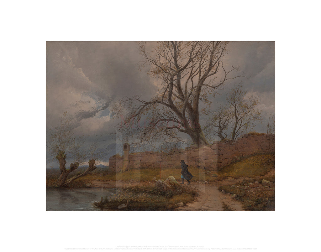 Wanderer in the Storm